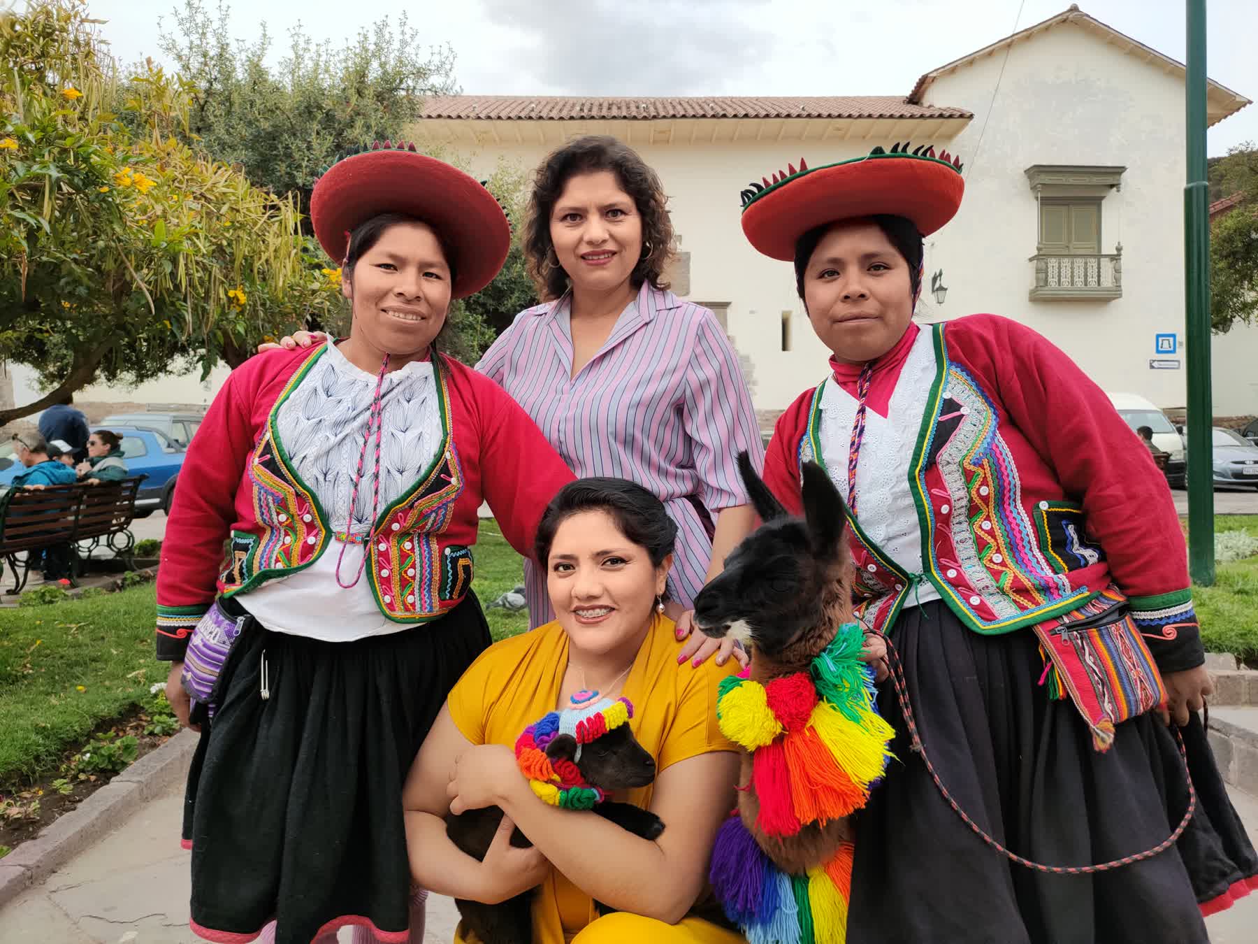 Llamas Cusco